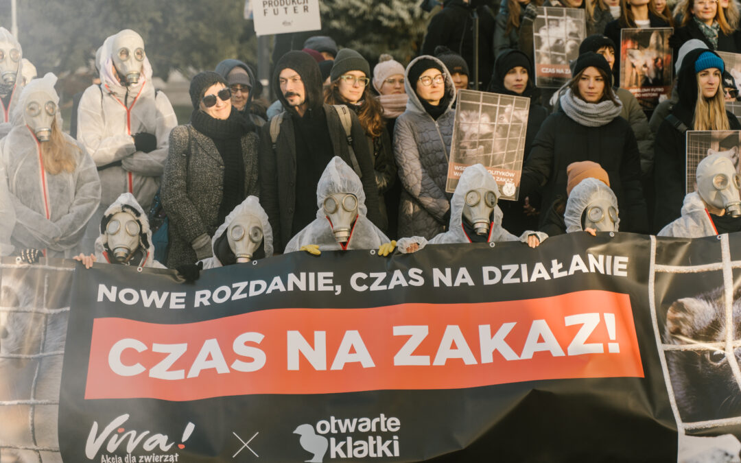 Czas na zakaz! Dzień Bez Futra i akcja pod Sejmem